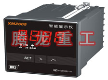 溫度表、數(shù)字顯示儀、濕度表