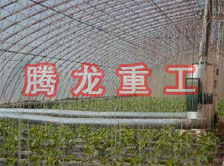 大棚花卉供暖設備、大棚卉采暖設備、大棚花卉取暖設備