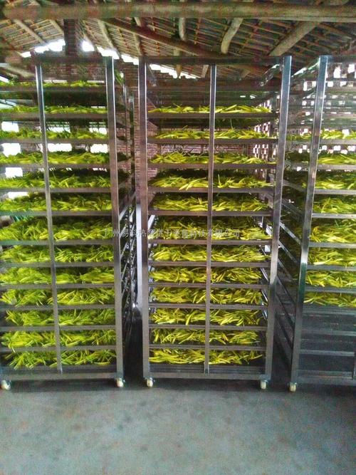 黃花菜烘干機、黃花菜烘干設備、黃花菜干燥機、黃花菜干燥設備、